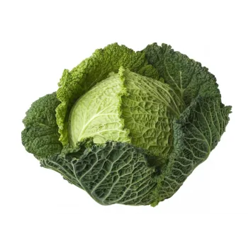 Cabbage (34)-5308941-60898.webp